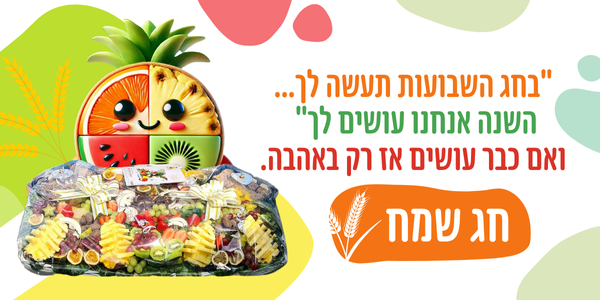 תמונה ללא תיאור